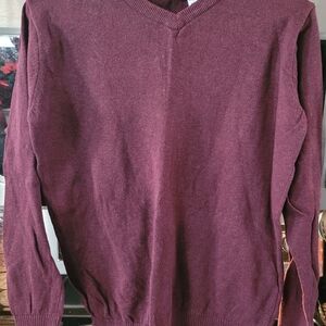 Place Kids Maroon V-Neck Sweater
